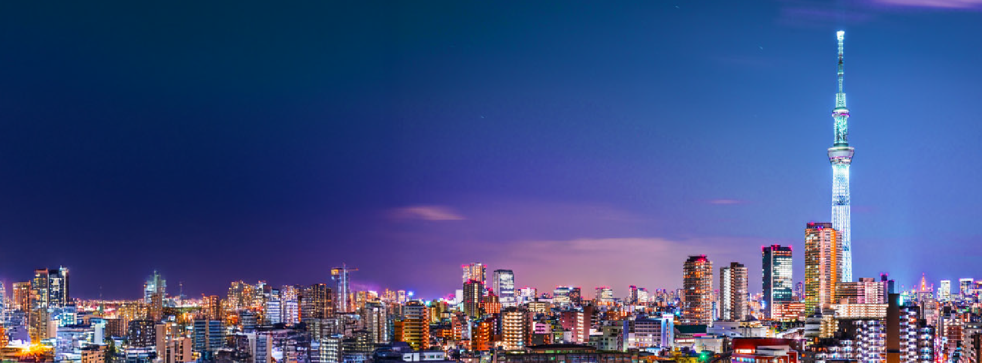 A japanese conglomerate_Web_banner.webp