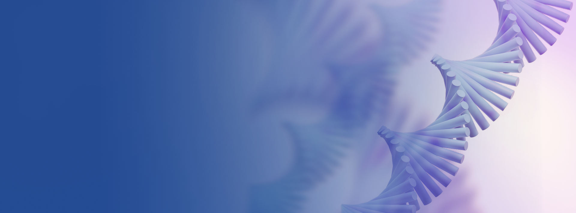 Web Banner_1.webp